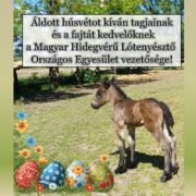 Húsvéti üdvözlet!