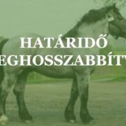 Ménelőszelekció – Határidő meghosszabbítva
