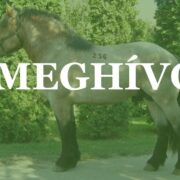 Meghívó – 2026 Közgyűlés