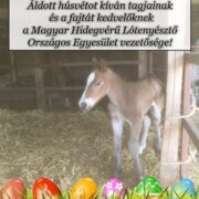 Húsvéti üdvözlet! – 2026