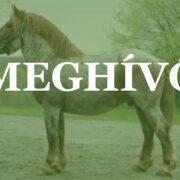 Meghívó – 2026. tavaszi ménvizsgák