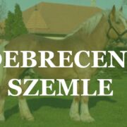 Felhívás – Debreceni szemle