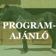 Programajánló – III. Országos Magyar Hidegvérűért Nap, Kömlőd