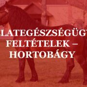 Állategészségügyi feltételek – Hortobágy, 2026. 09. 17.
